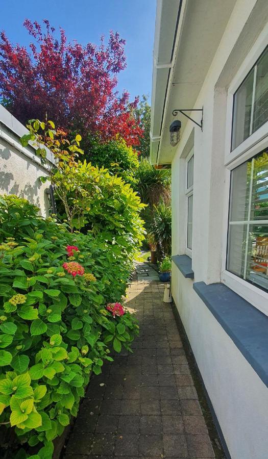 124 ,Castlelawn Heights, Headford Road Galway Homestay Eksteriør bilde