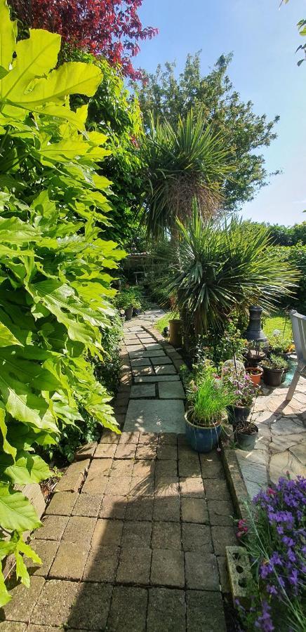 124 ,Castlelawn Heights, Headford Road Galway Homestay Eksteriør bilde